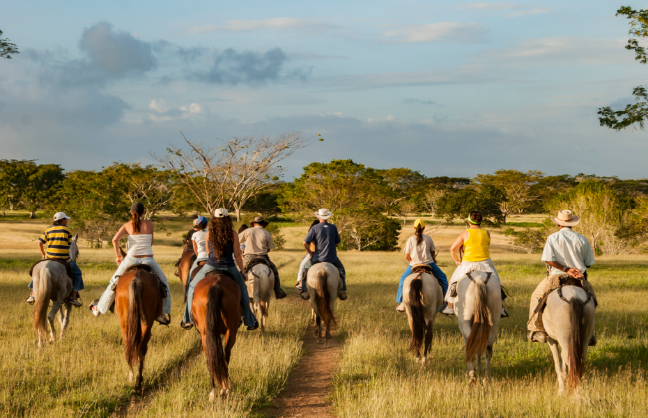 Día de la Llaneridad