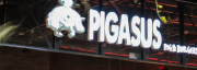 Pigasus
